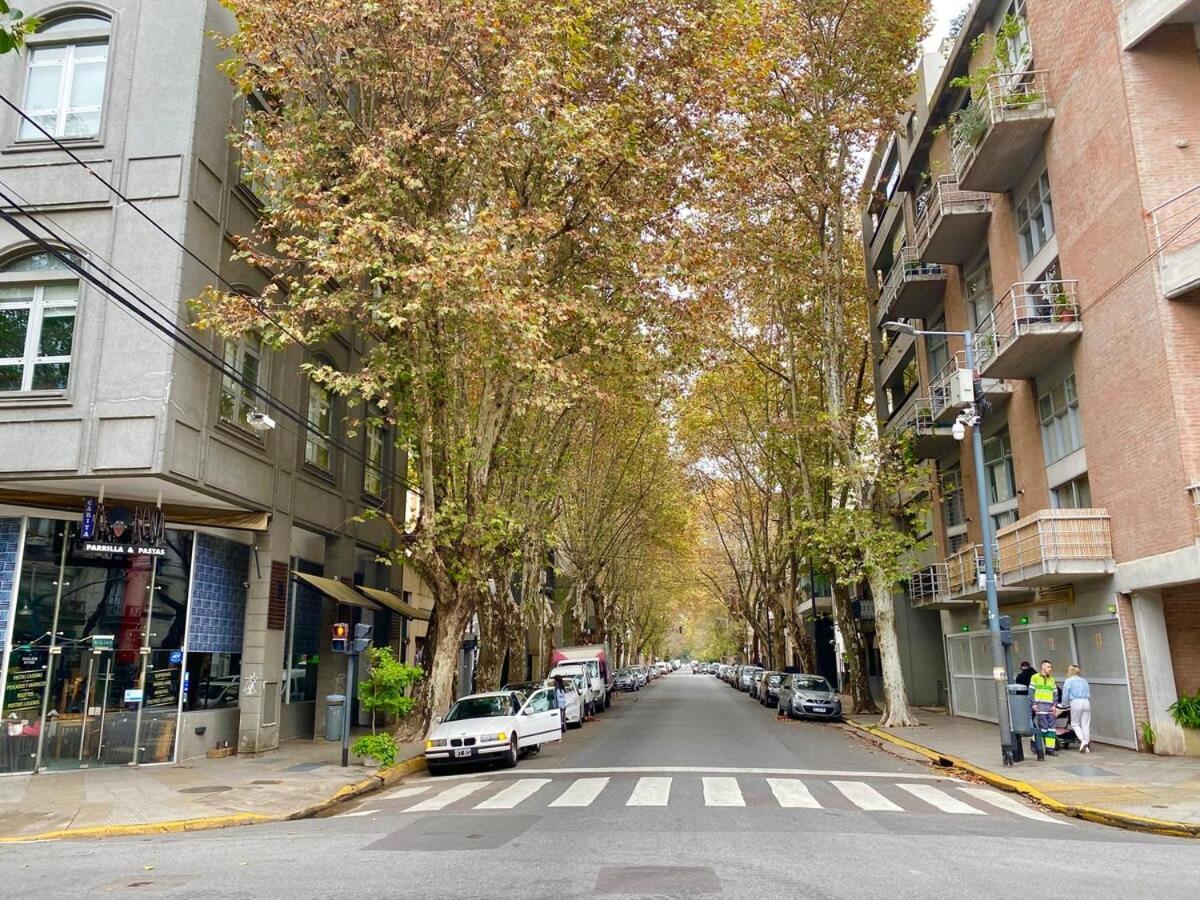 Comfortable Flat In Palermo * Buenos Aires